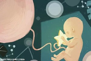 胚胎专家